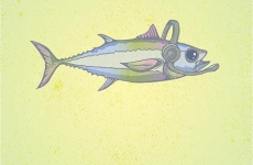 Neue Serie: Digital Creatures #1 Babbel