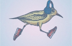 Digital Creatures #2 Runner – laufend konsumieren