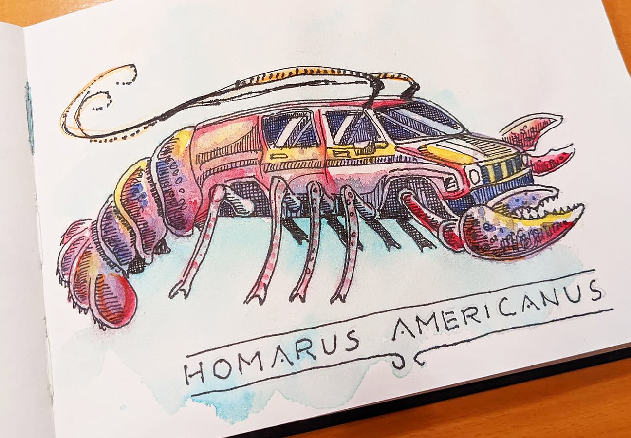 Homarus Americanus Amerikanischer Hummer coronadoodles